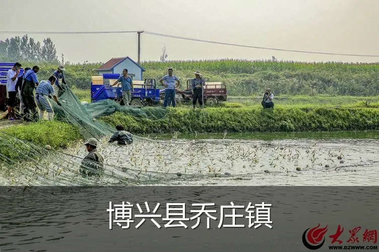 博兴县乔庄镇