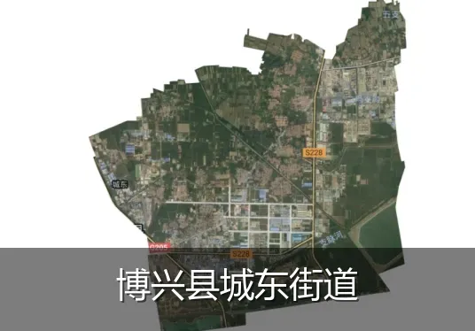 博兴县城东街道