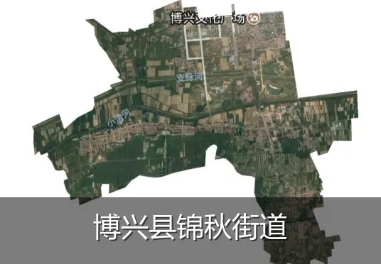 博兴县锦秋街道